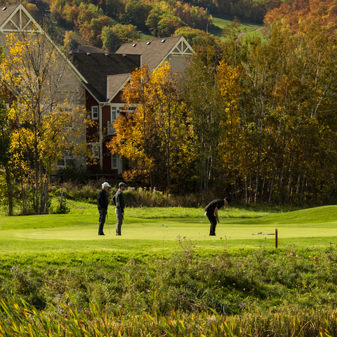 Monterra Golf Course, Fall Landscape