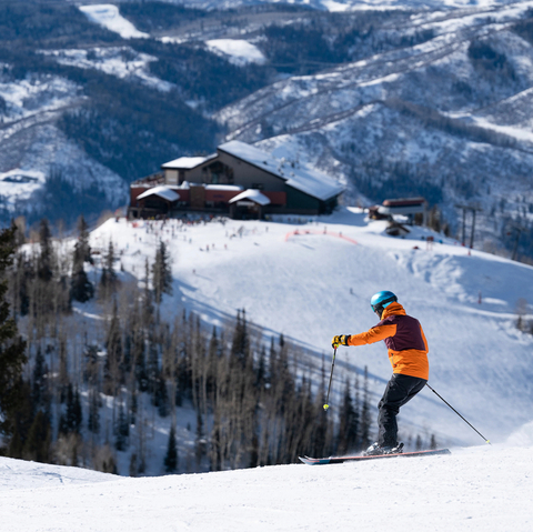 Skier Scenic