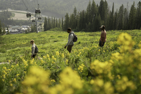 Ute Trail Hiking with Gondola, wildflowers