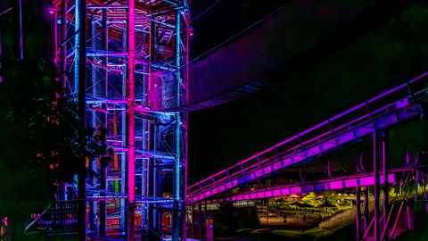 Canopy Climb, Night, Lights