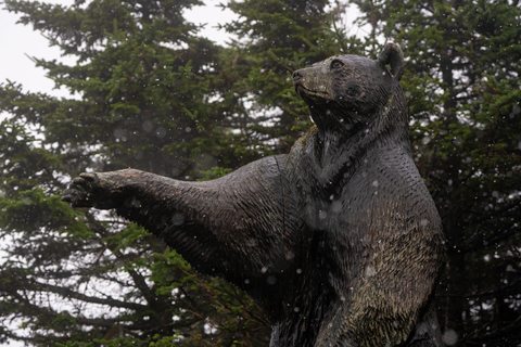 First snow summit 2025
