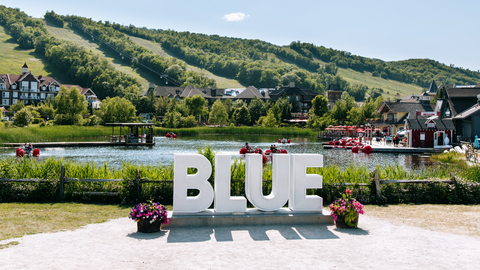 Summer Landscape, Blue Sign