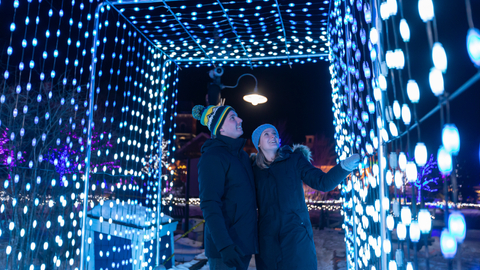 Holiday Magic, Village, Night, Lights