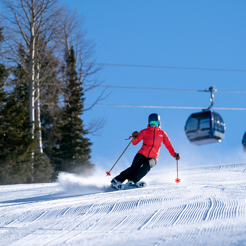 corduroy groomer