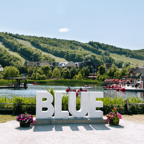 Summer Landscape, Blue Sign