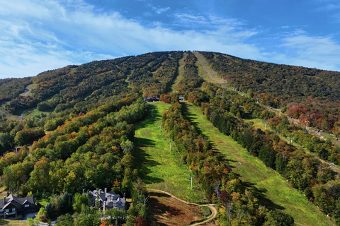 drone fall autumn wide aerial leaves peeping peep
