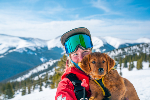 

Avalanche Dog, Dog, ski patrol 